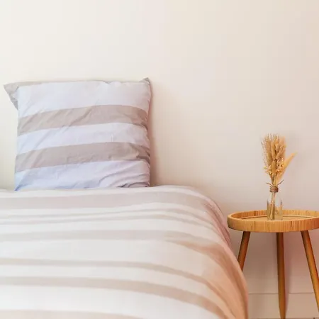 Renove Proche Commodites Et Plage D'olonne - 4 Personnes Apartment *